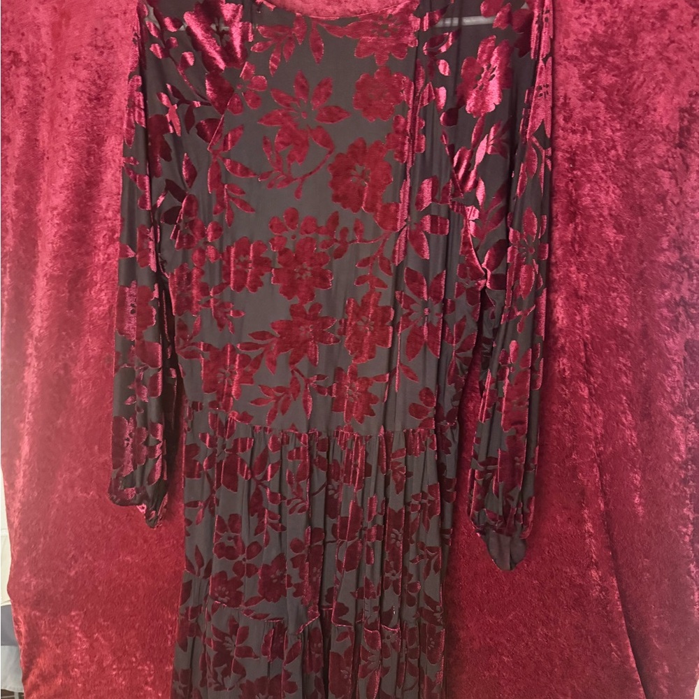 Elegant Red Floral Velvet Dress - Picture 2 of 3